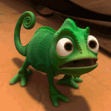 leonardCam